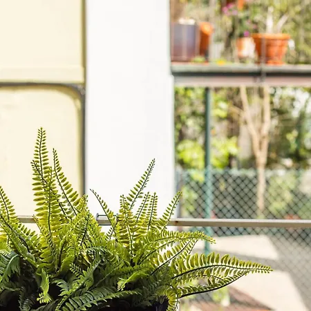 Апартаменти Principe Real Лісабон